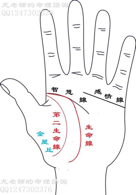 生命線有兩條|手上有兩條生命線的人生命力旺盛，貴人多助